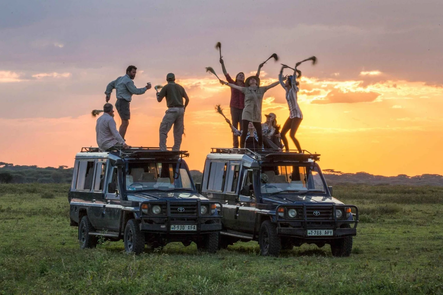 Tanzania Safaris
