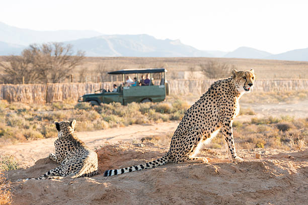 Arusha National Park