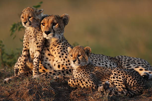 Lake Manyara