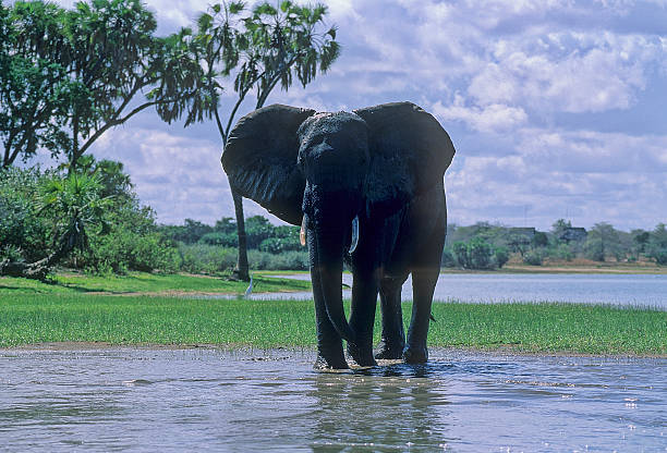 Tarangire National Park