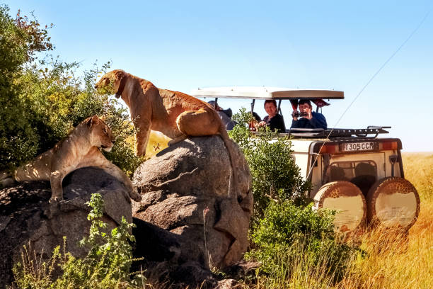 Walking safari packages in Tanzania