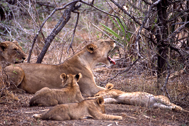 Arusha day trips in Tanzania