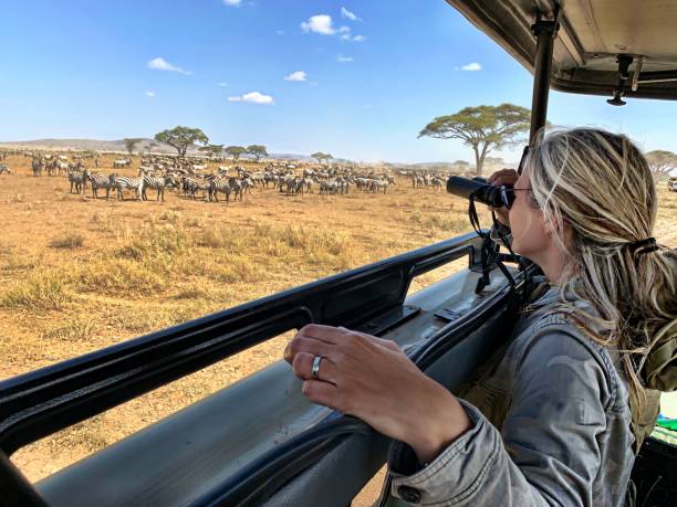 Classic Tanzania wildlife safari packages Northern Circuit