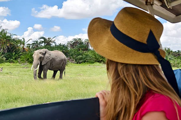 Tarangire Safari Tanzania