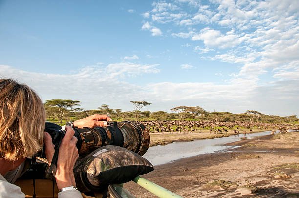 Fly in Safari Tanzania