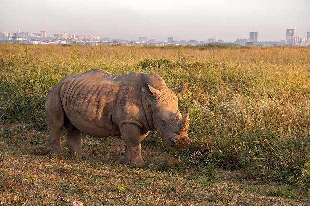 Tanzania Safari Cultural Experience