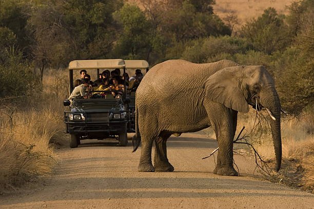 Ultimate Tanzania Wildlife Safari