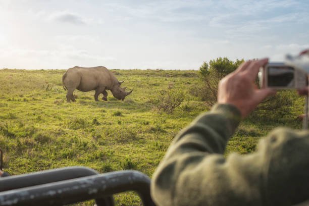 Northern Tanzania Wildlife Safari