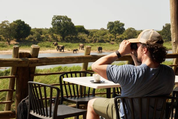 Serengeti Ngorongoro Safari