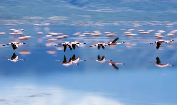1 Day Lake Natron Scenic Photography Tour  2026