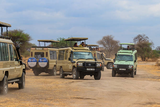  Do I Need a Travel Adapter for Tanzania?  2026