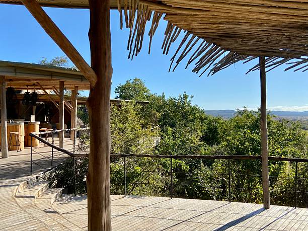 2 Day Ngorongoro Crater Luxury Safari  2026