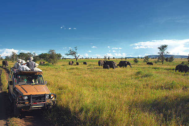 2 Day Private Luxury Safari in Tarangire & Manyara  2026