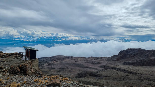 Best 2 Day Lemosho Route Shira Plateau Trek Kilimanjaro  2026