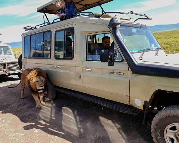  What Should I Pack for a Tanzania Safari?  2026