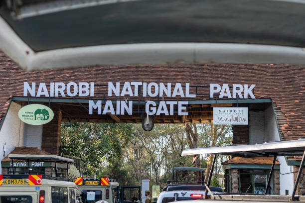 3 Day Nairobi National Park & Mount Kenya Safari  2026