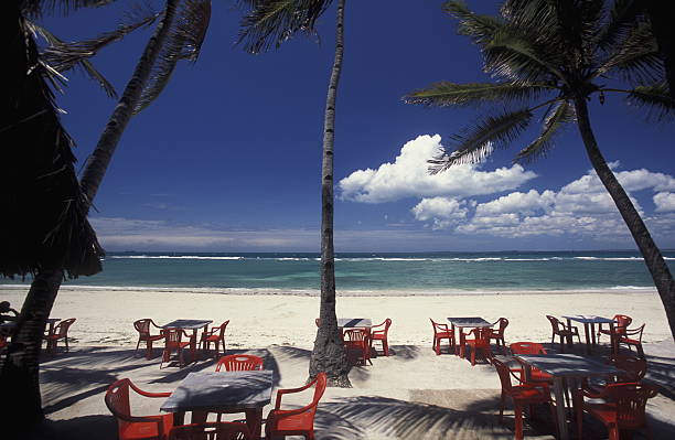  Are Night Game Drives Allowed in Serengeti?  2026