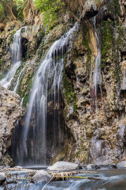 5 Day Lake Natron, Engarasero & Hot Springs Safari  2026