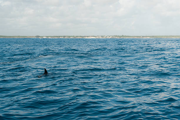  Can I Combine Zanzibar with a Tanzania Safari?  2026