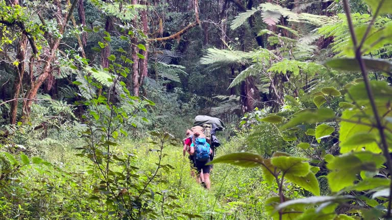  Do I Need Oxygen Tanks for Kilimanjaro?  2026