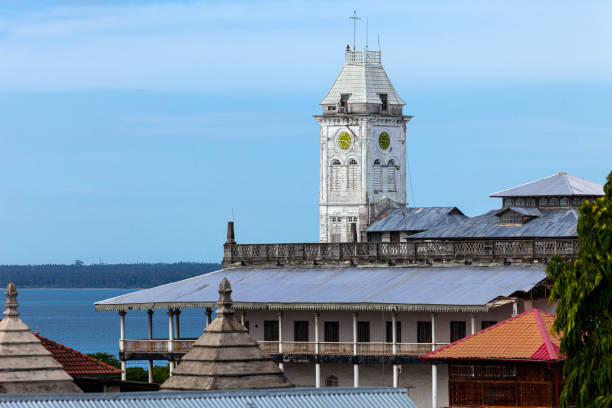  What Currency is Used in Tanzania, and Can I Use USD?  2026