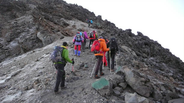  What Should I Pack for a Kilimanjaro Trek?  2026