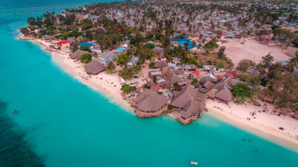  Can I Swim with Dolphins in Zanzibar?  2026