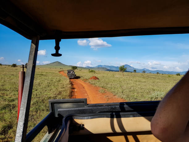 Luxury 1 Day Lake Manyara Private Safari Tour  2026