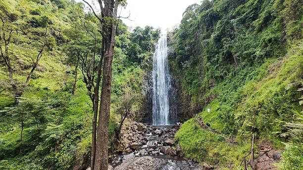 Day Trip Materuni Waterfall and Maasai, Best Price  2026