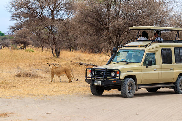 Things to Do in Arusha Tanzania  2026