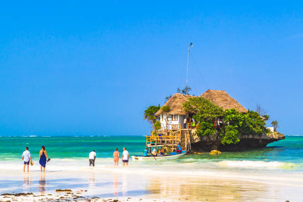 Things to Do in Zanzibar  2026