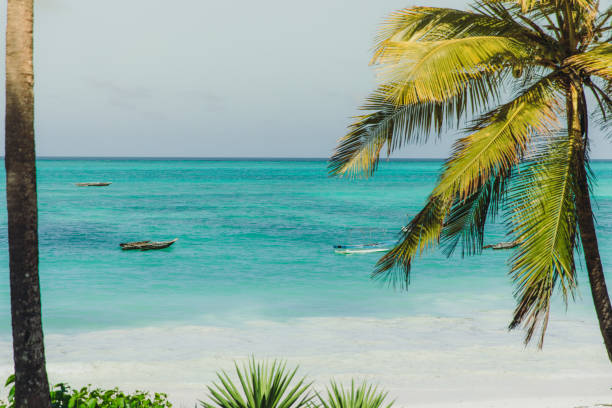 Zanzibar 5 Day Beach Vacation Package  2026