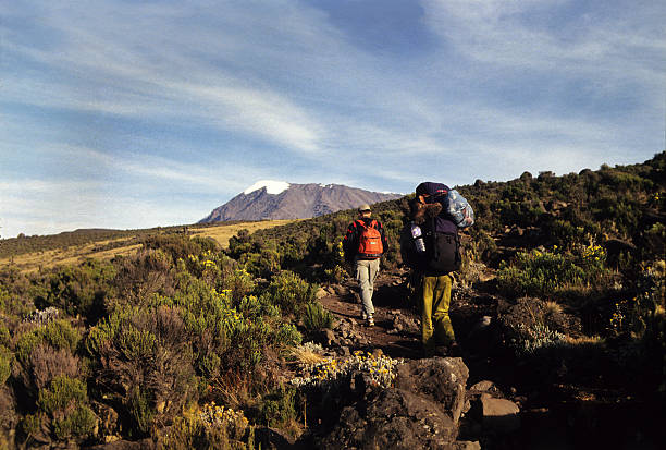 2 Day Kilimanjaro Machame Route Short Trek  2026