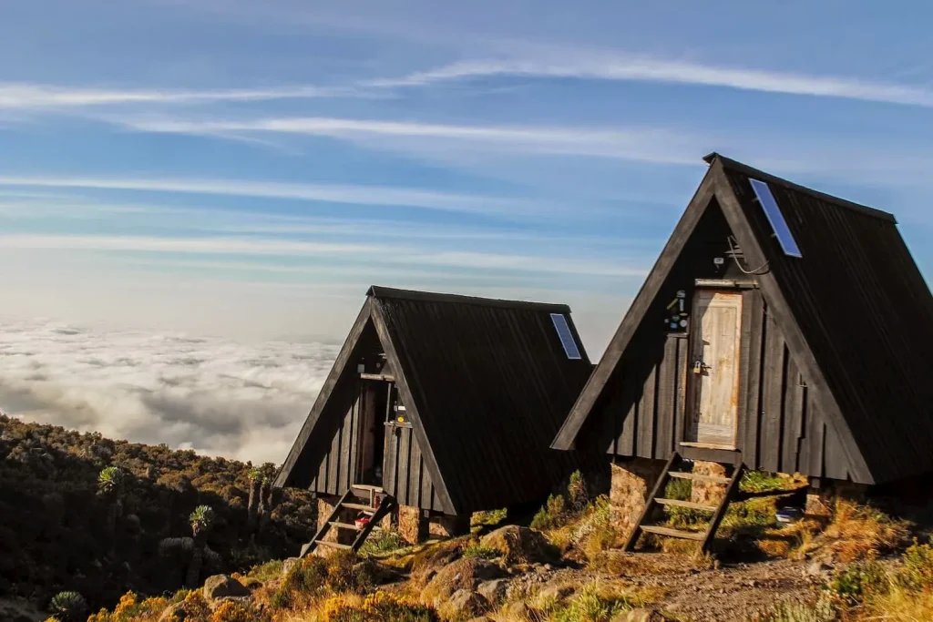Best Marangu Route 8 Days Climbing Kilimanjaro