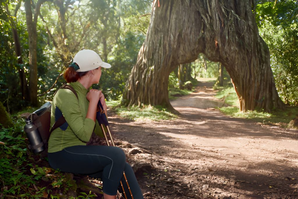 Arusha National Park Bird Watching Day Trip