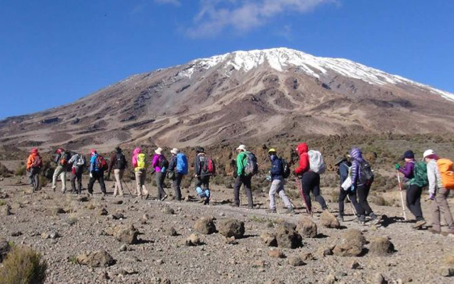 Kilimanjaro Success Rate by Route – Compare All Kilimanjaro Routes