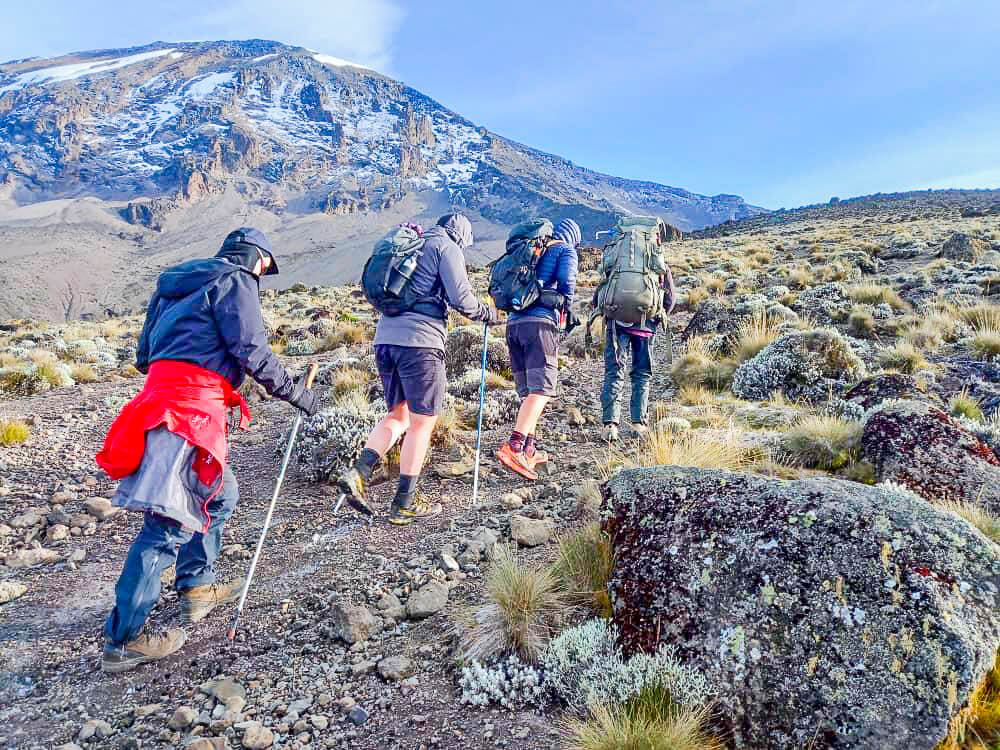 Climbing Kilimanjaro for Beginners, How to Train for Kilimanjaro â Best Kilimanjaro Training Guide