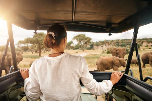 4 Days Tanzania Group Luxury Safari from Moshi/Arusha