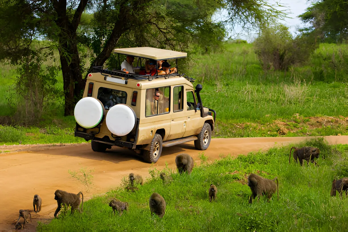 Tanzania Safari and Kilimanjaro Trekking Cost: Full Price Breakdown