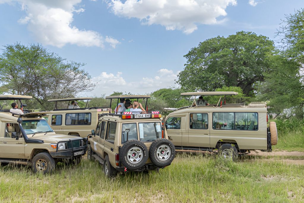 14 Day Ultimate Tanzania Wildlife Safari and Cultural Experience Tour